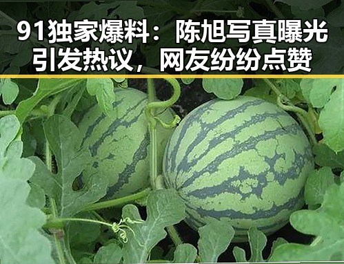 91独家爆料:陈旭写真曝光引发热议,网友纷纷点赞
