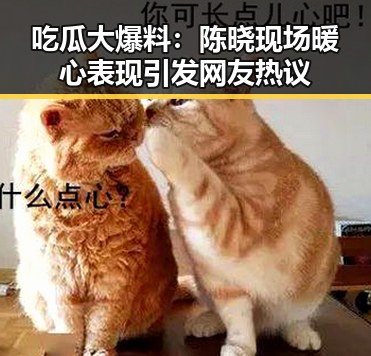 吃瓜大爆料:陈晓现场暖心表现引发网友热议
