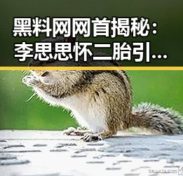 黑料网网首揭秘:李思思怀二胎引发关注