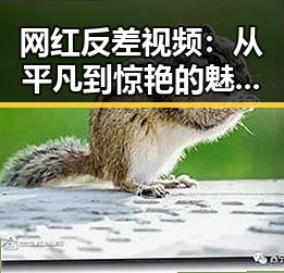 网红反差视频:从平凡到惊艳的魅力变变变